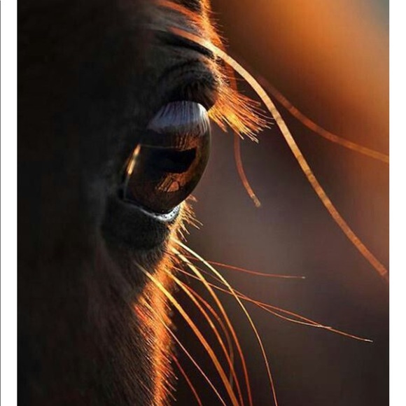 Meet your Posher, Valencia - Picture 1 of 1